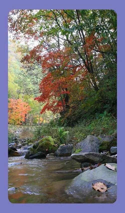 망경대산자연휴양림