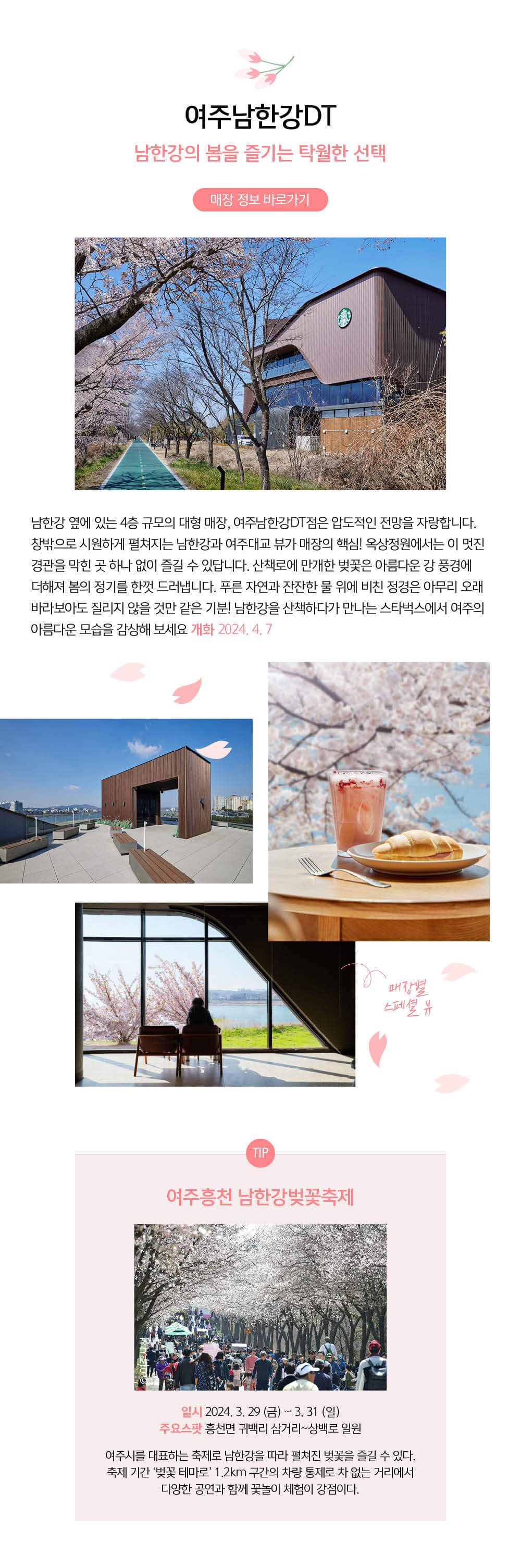 스타벅스 벚꽃뷰 매장 여주