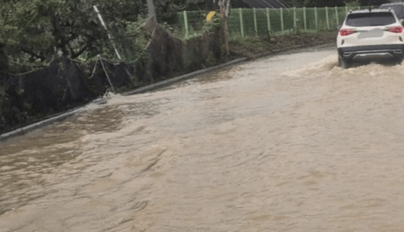 집중호우 (폭우) 피해 재난지원금