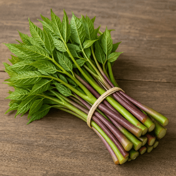 눈개승마, 왜 &lsquo;산에서 나는 인삼&rsquo;이라 불릴까?｜인삼과 효능 비교 분석