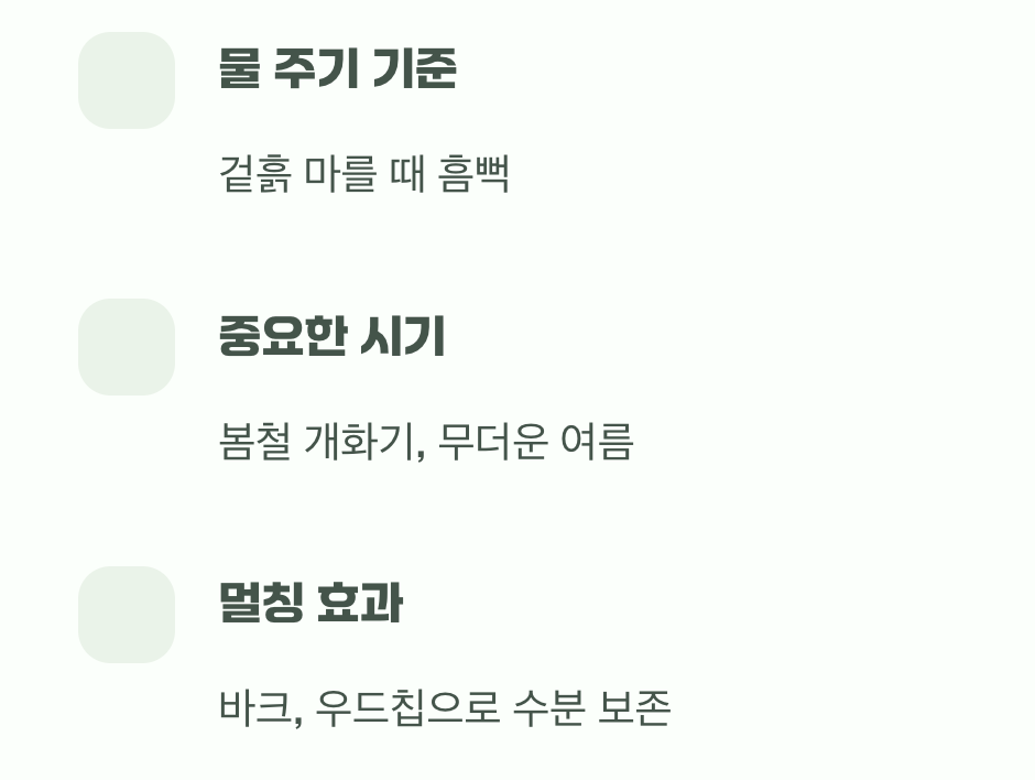 비결 2. '물'을 사랑하는 나무