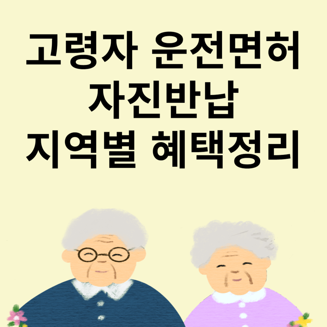 고령자 운전면허 반납