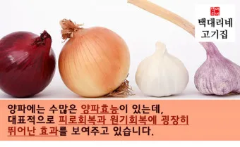 nv_양파 효능_19