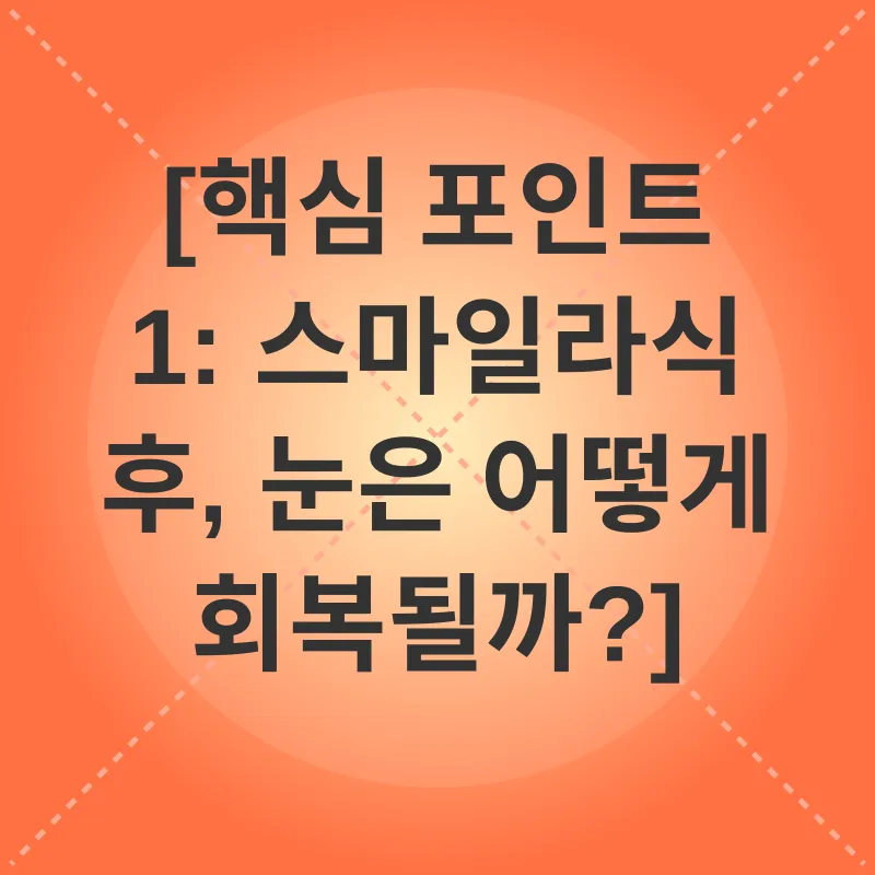 스마일라식 회복_1