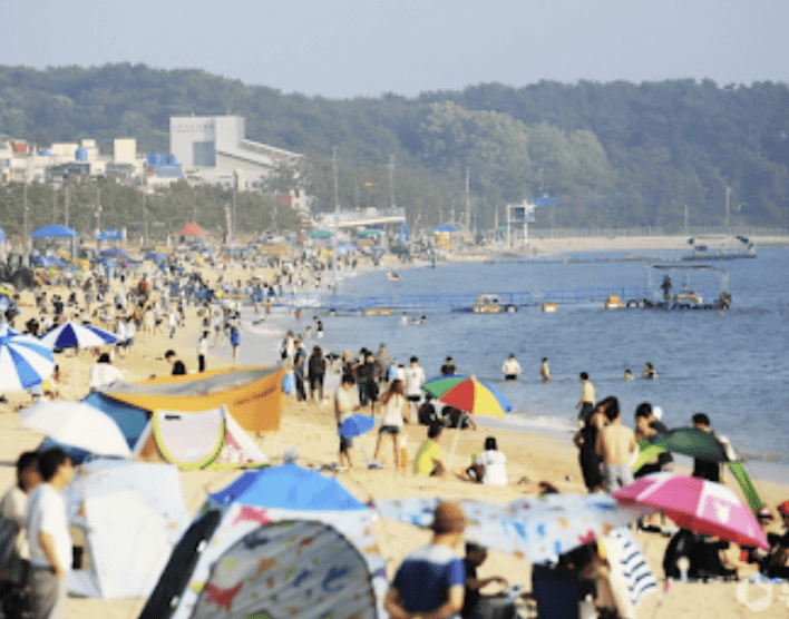 해수욕장 개장일정