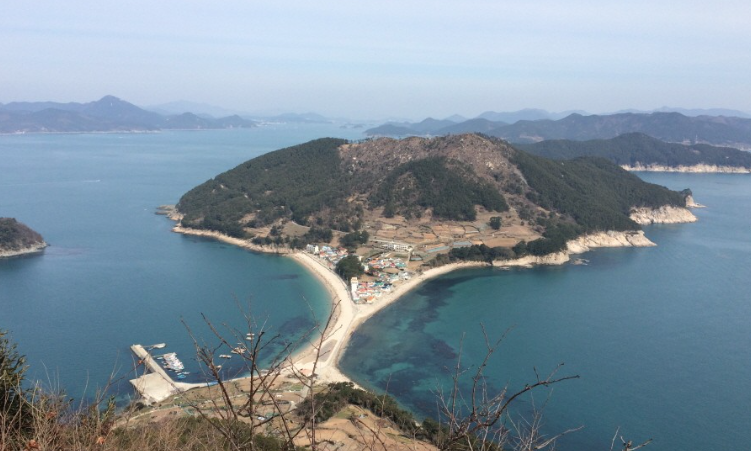 비진도