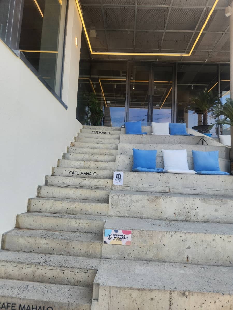 양양 바다카페 마할로