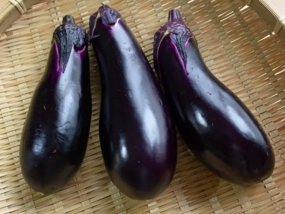 생가지 섭취 주의