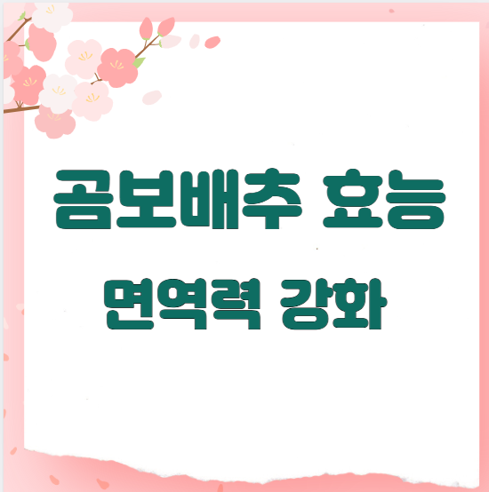 곰보배추 효능 면역력 강화