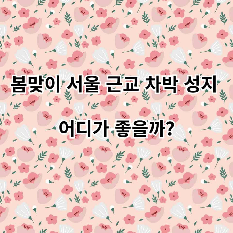 서울 차박 성지 추천