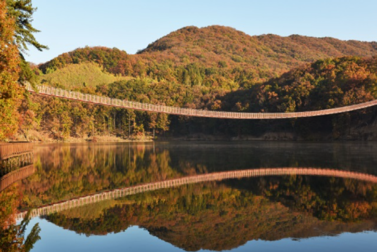 마장호수 출렁다리