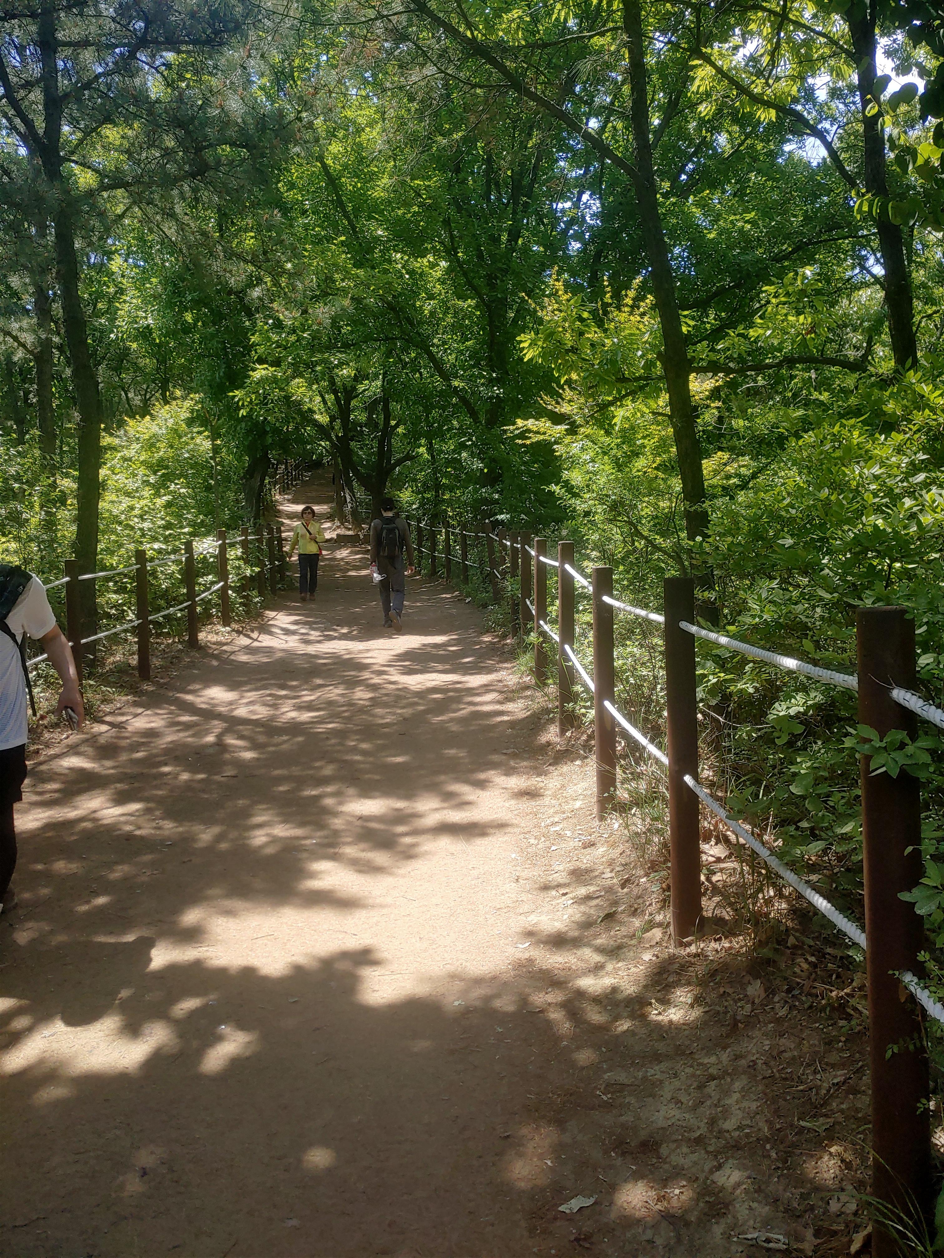 등산 다이어트 효과