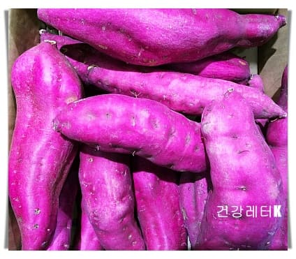 고구마 1