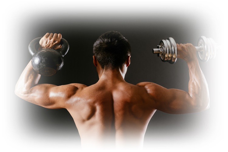 복싱 vs 헬스 더 살 잘빠지는 건?