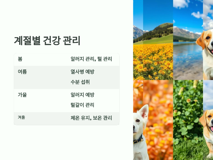 계절별 건강 관리