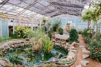 옥천 가볼만한곳 베스트10 현지인 추천 필수코스_10