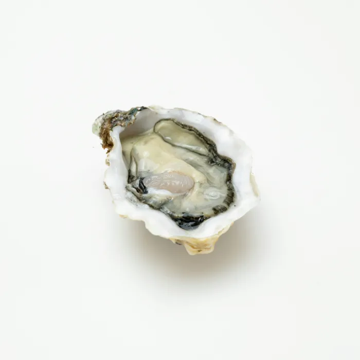 반으로-가른-생굴-사진