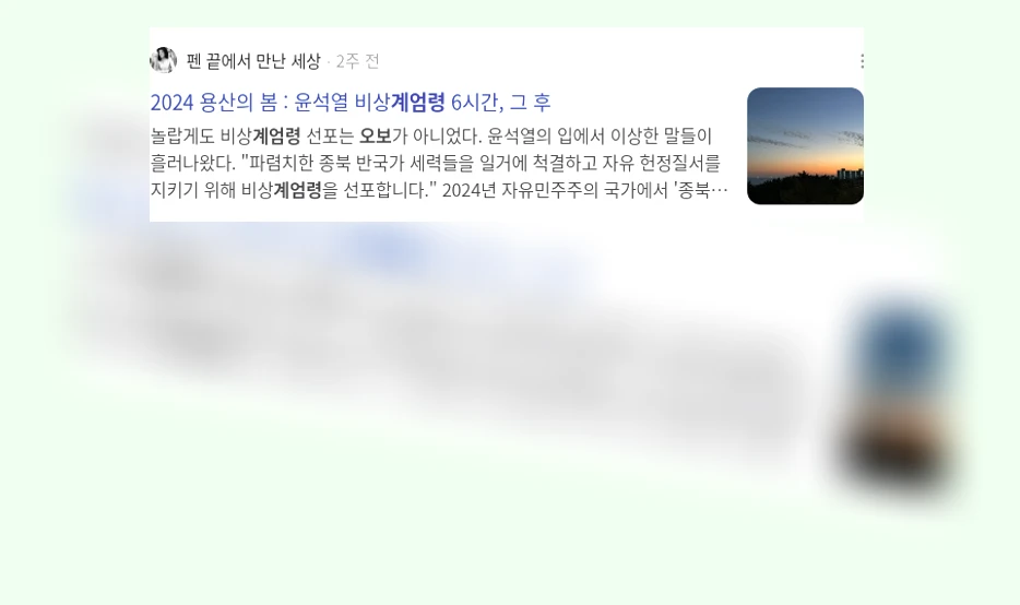 계엄령 오보_2_subsection