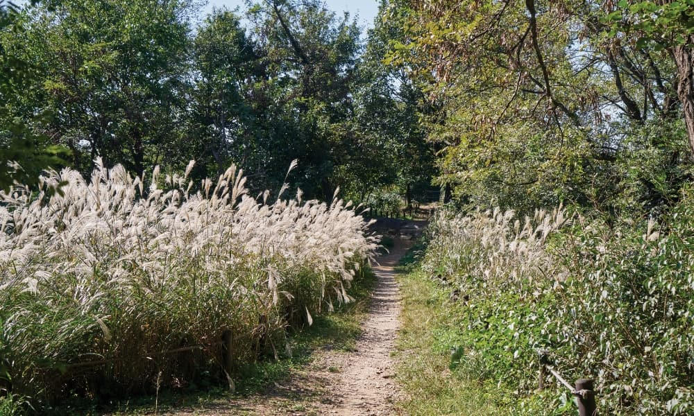 북한산 둘레길 8코스