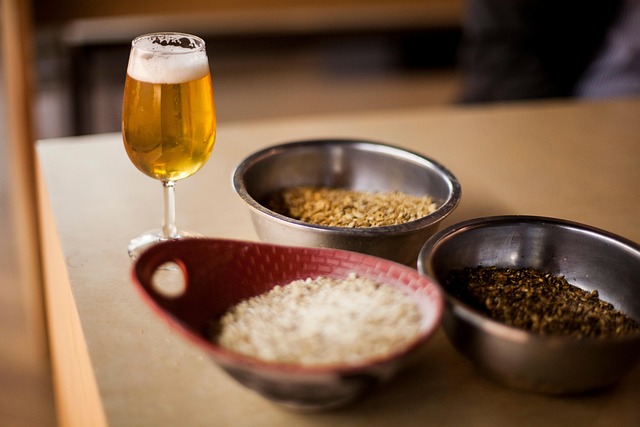 뉴질랜드 홉의 세계 진출과 오세아니아 스타일 맥주