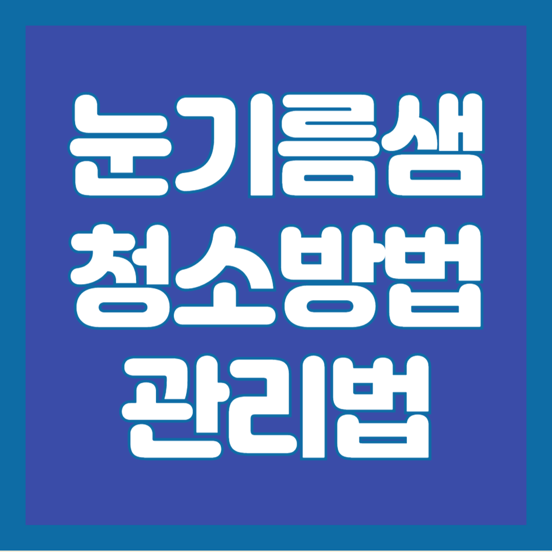 눈-기름샘-청소