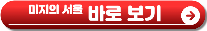 미지의 서울