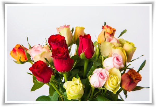 &quot;생화 꽃다발&quot; 특별한 순간을 오래 보관하는 신선함 유지 비결!