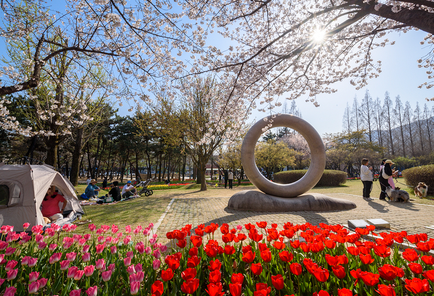 연지공원 튤립