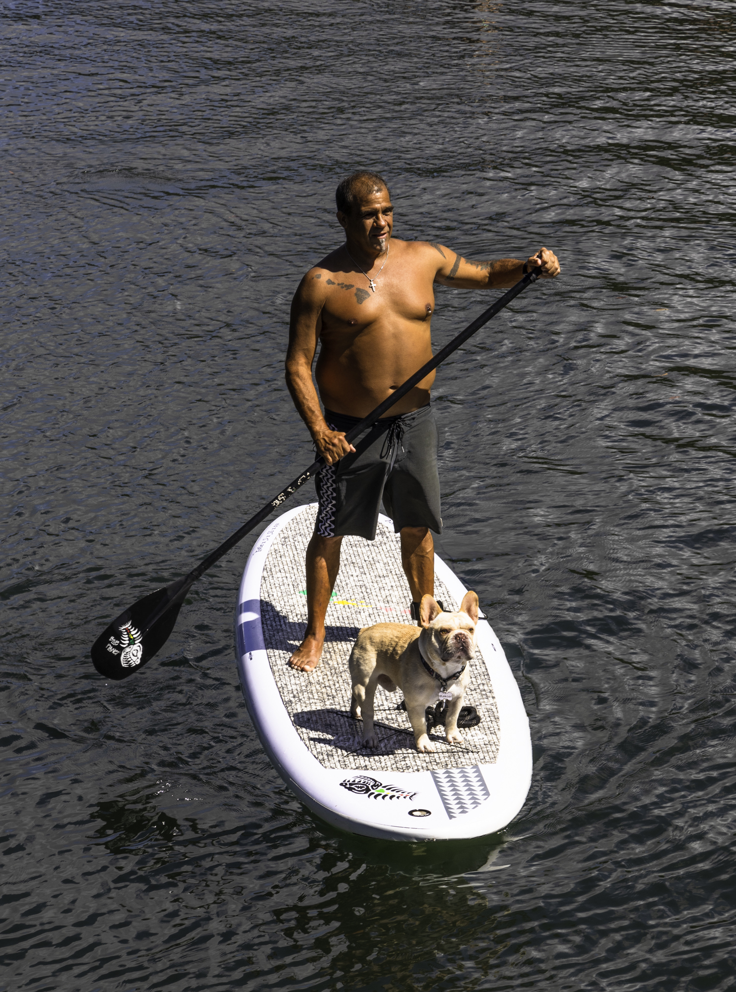 하와이 할레이바 타운 패들보드