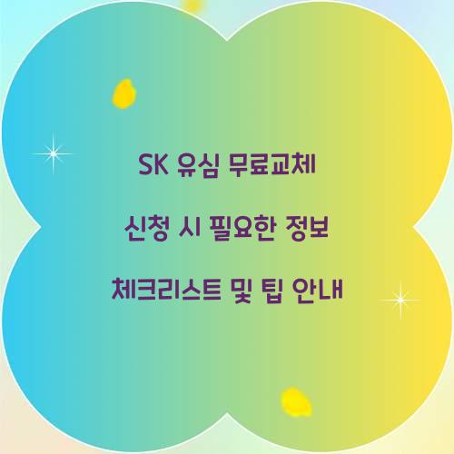 SK 유심 무료교체 신청 시 필요한 정보 체크리스트