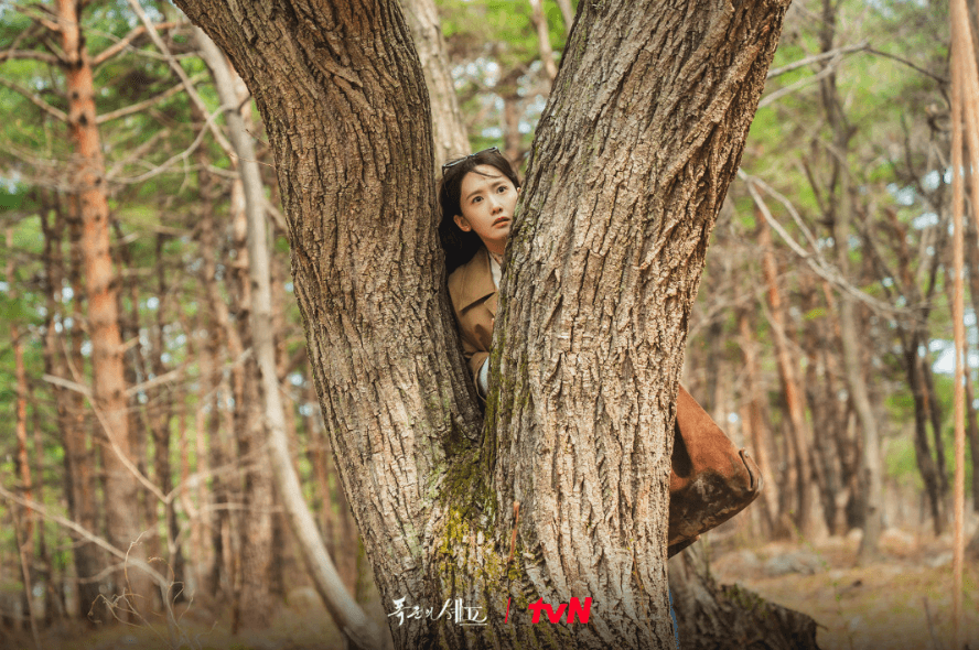 폭군의 셰프 다시보기 방영일 몇부작 출연진 Q&amp;A