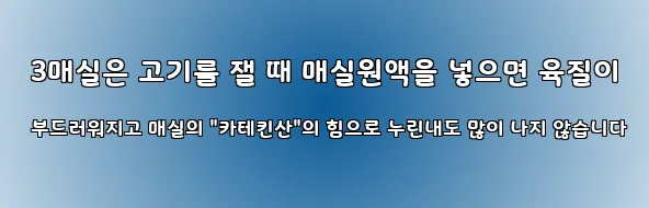  3매실은 고기를 잴 때 매실원액을 넣으면 육질이 부드러워지고 매실의 