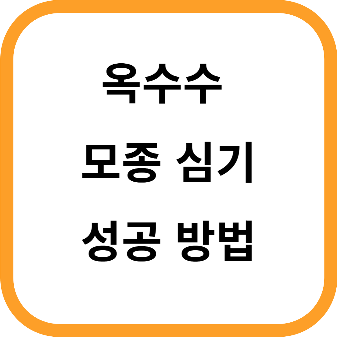 옥수수 모종
