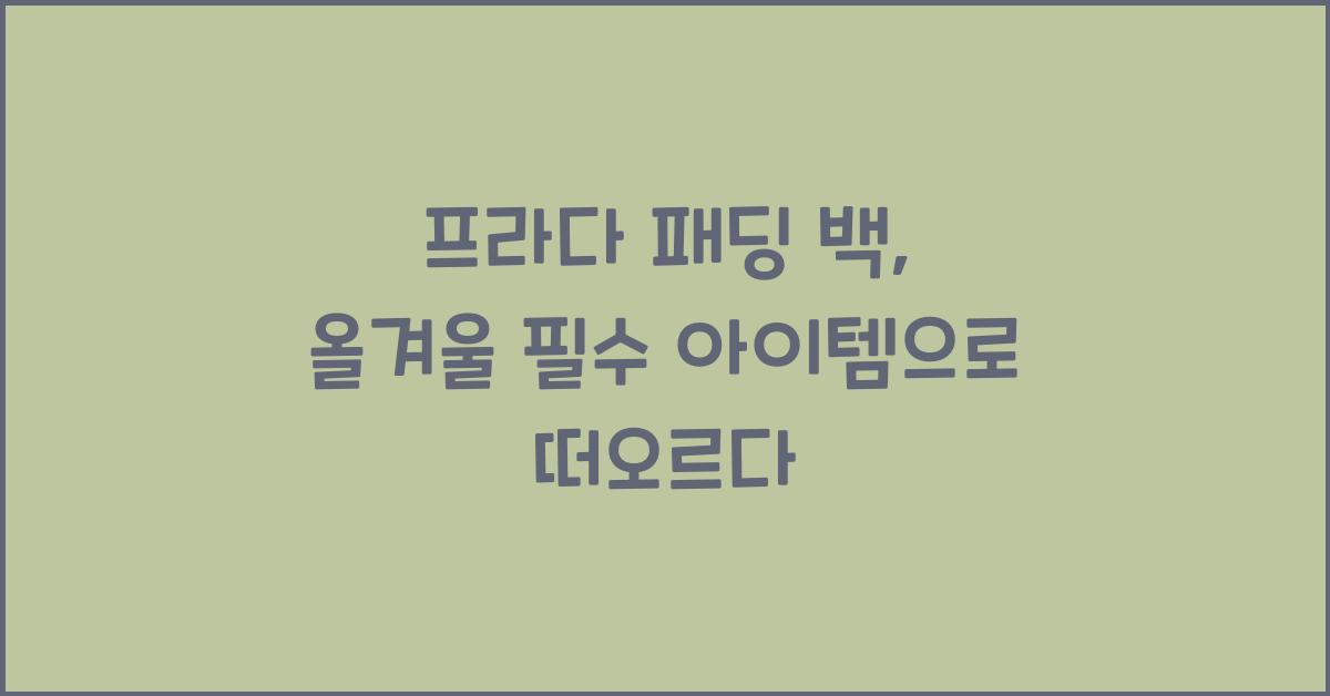 프라다 패딩 백