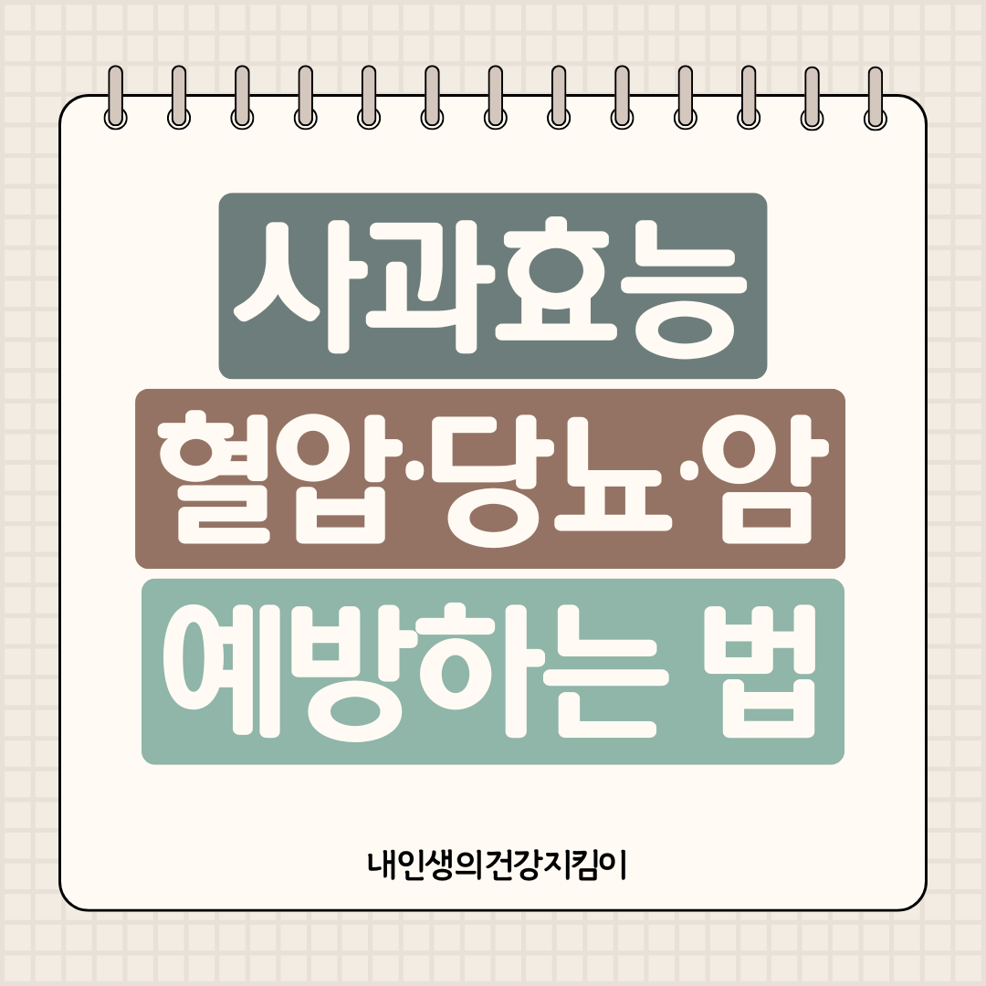 사과 효능 9가지 ❘ 하루 1개로 혈압·당뇨·암까지 예방하는 법