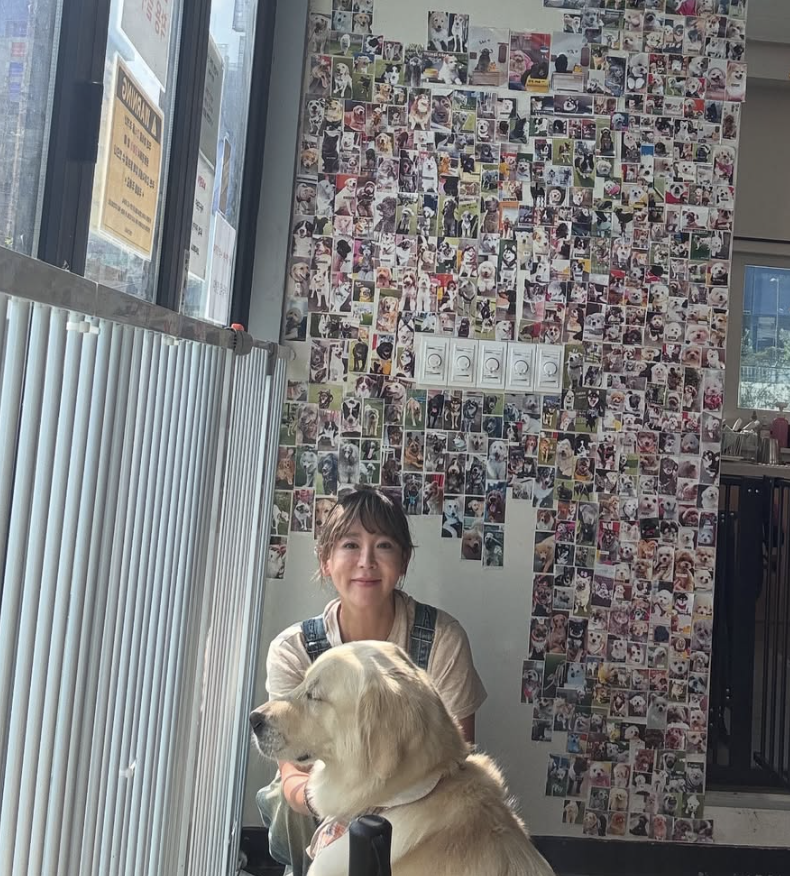 이상아 애견카페 멍멍그라운드에서 찍은 모습 근황 사진