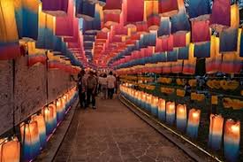 안산 별빛마을 애니멀 하트빌리지 빛축제