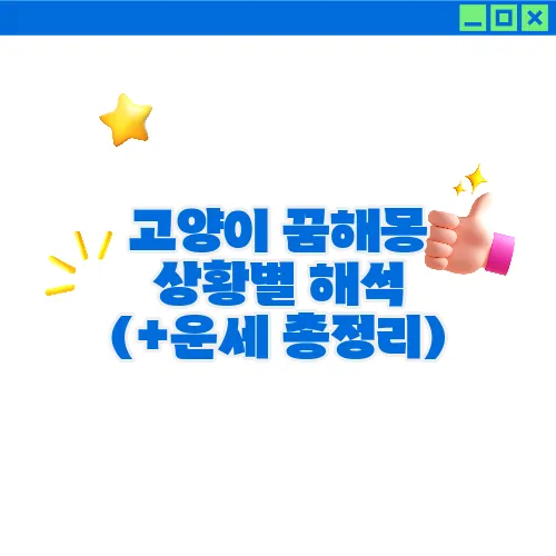 고양이 꿈해몽 상황별 해석 (+운세 총정리)