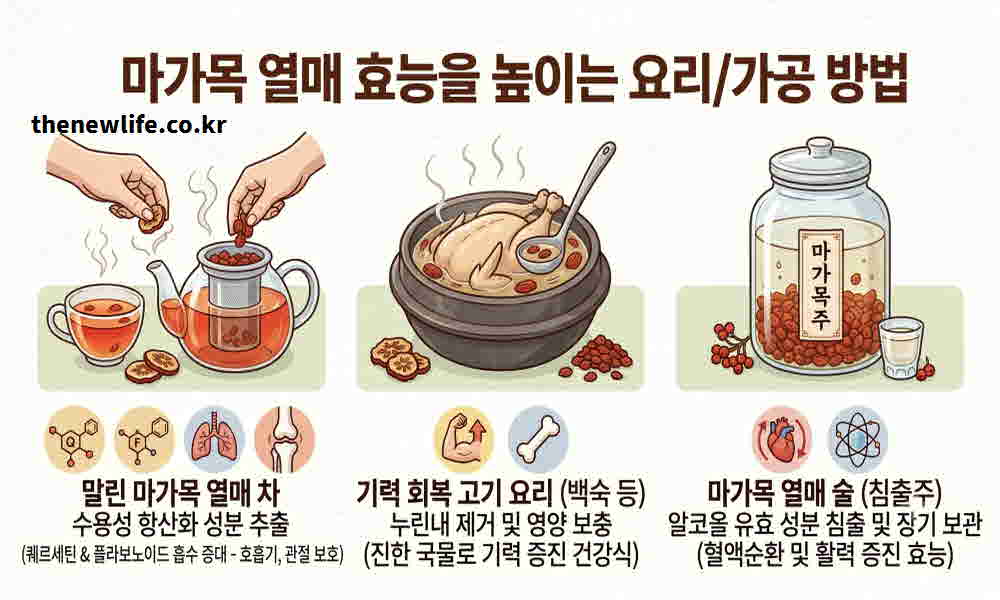 마가목열매 효능 높이는 요리