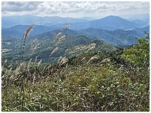 봉화산