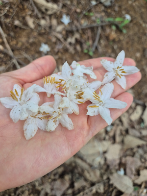 새학기, 선생님과 친해지는 방법