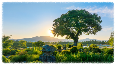 순천만 국가정원