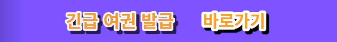 긴급 여권 발급