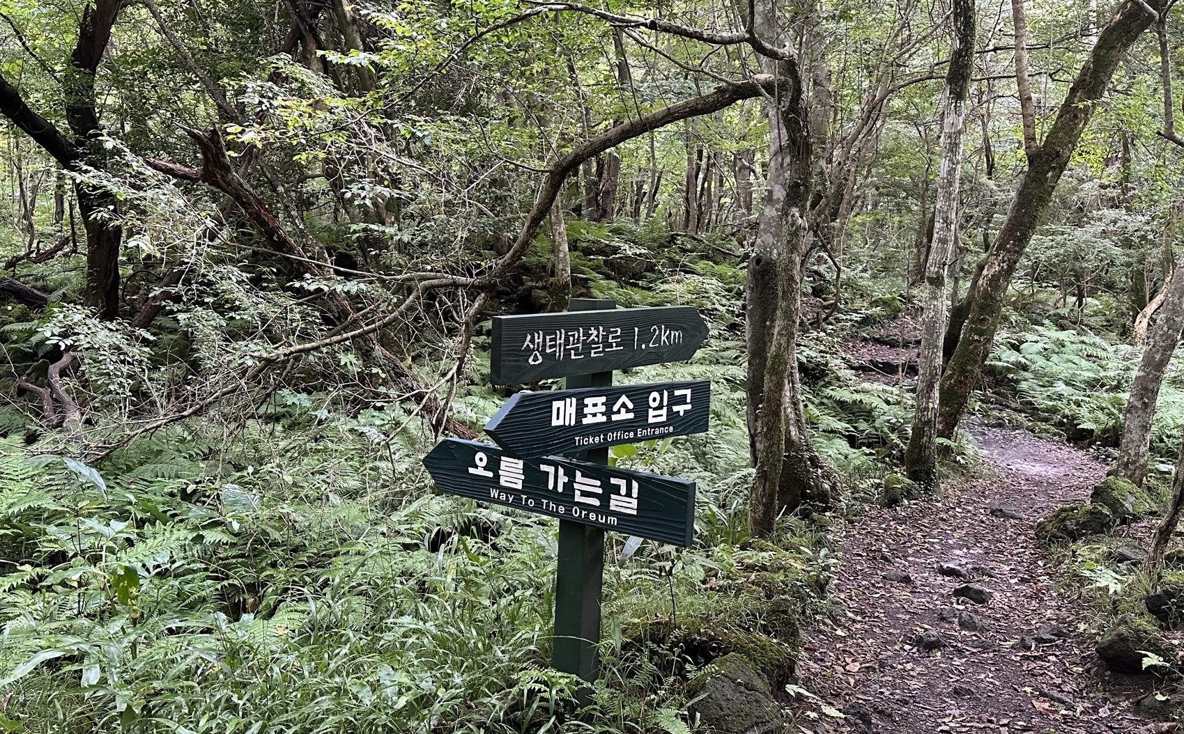 관찰로