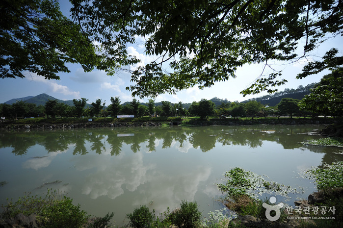 임실 가볼만한곳 베스트10