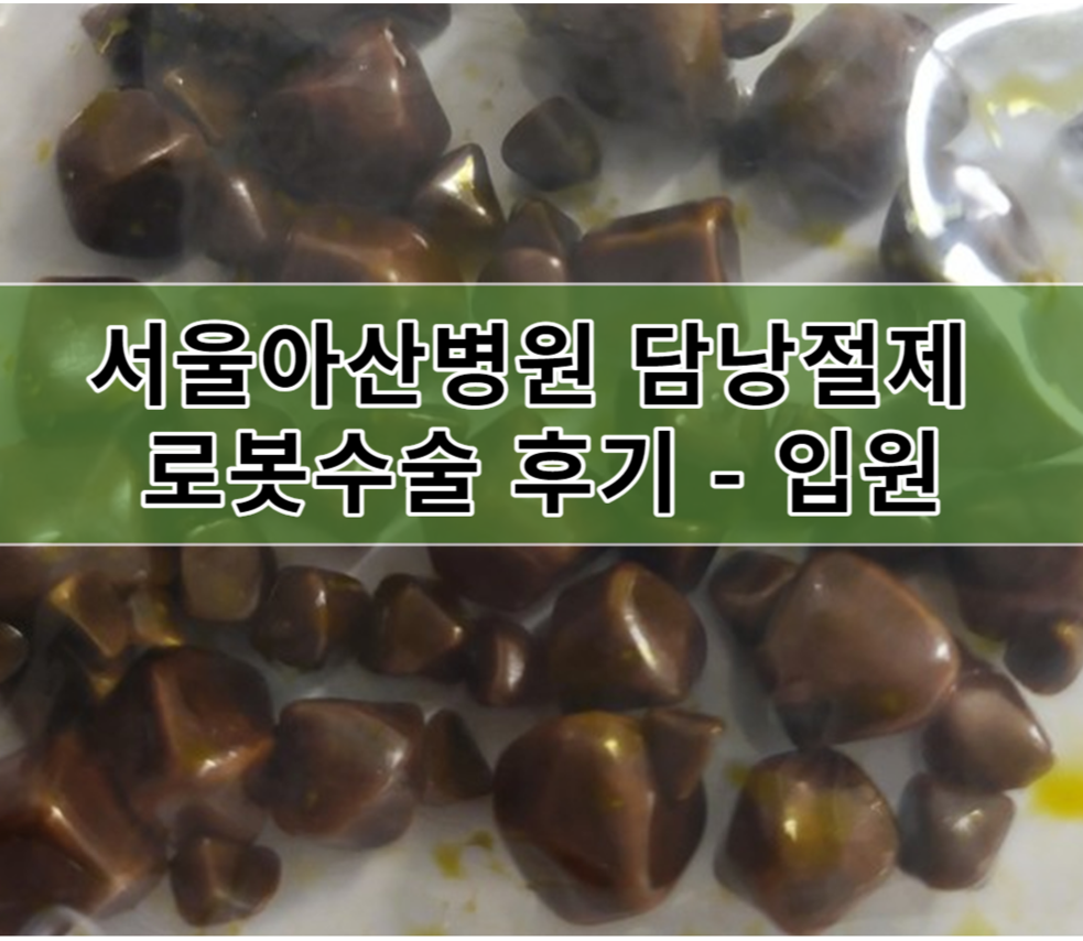 서울아산병원 담낭절제 로봇수술 후기 - 입원