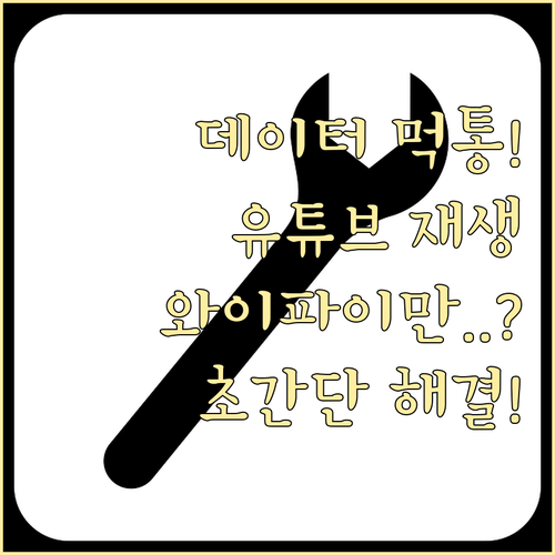 와이파이 외 셀룰러 데이터에서 유튜브..