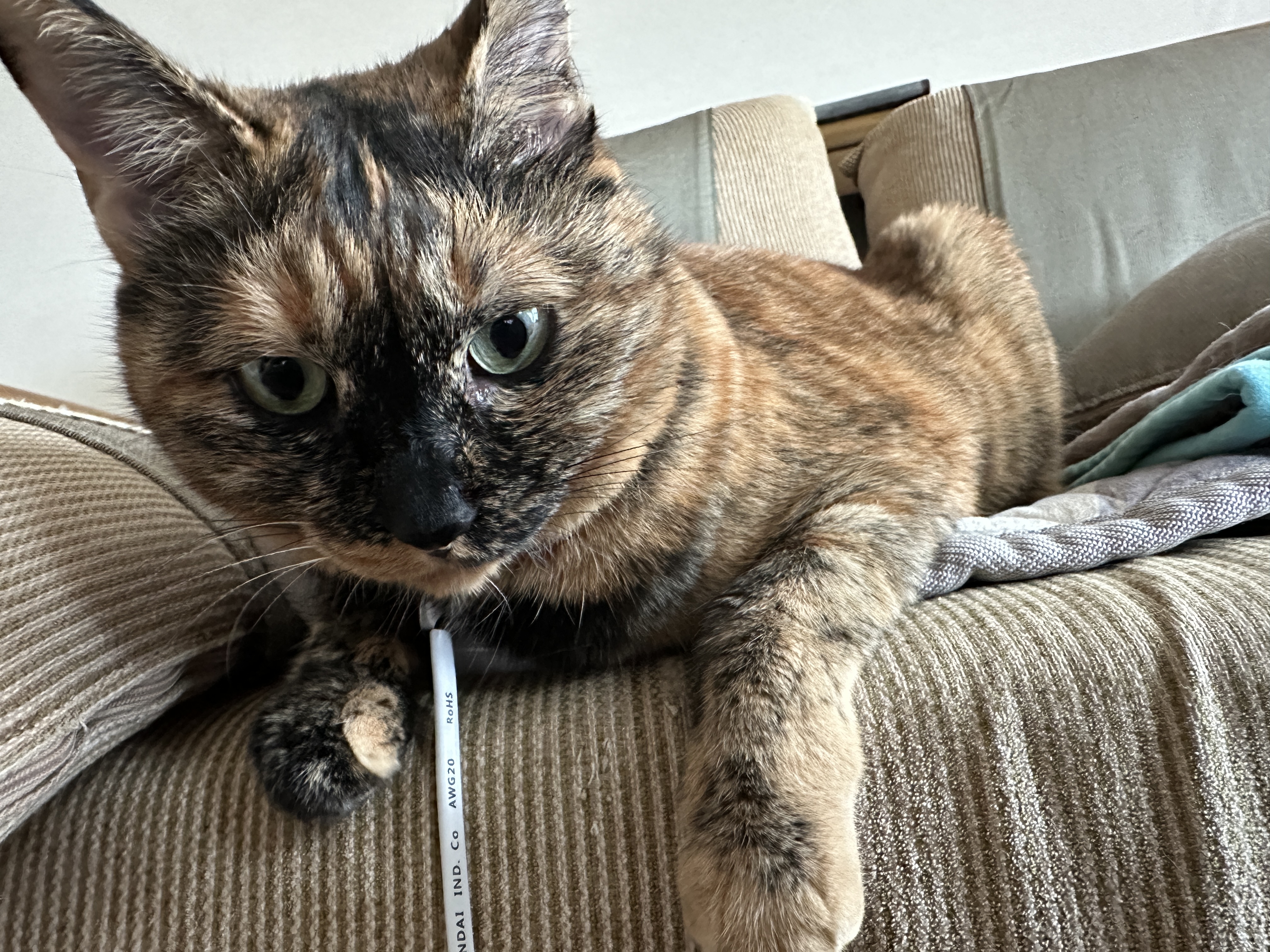 충전_하는것_처럼_보이는_사랑이