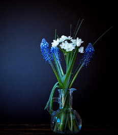 겨울철 타이어 적정 공기압