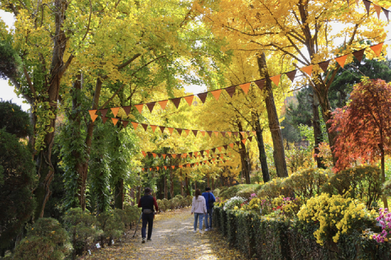 베어트리파크 단풍